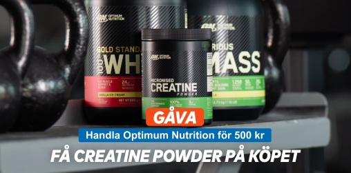 Handla Optimum Nutrition fr 500 kr: gva p kpet